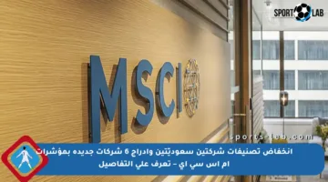 انخفاض تصنيفات شركتين سعوديّتين وإدراج 6 شركات جديدة بمؤشرات إم إس سي آي – تعرف على التفاصيل